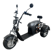 Электроскутер Maikaolin R11 Трехколесный Харлей